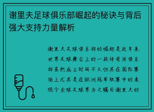 谢里夫足球俱乐部崛起的秘诀与背后强大支持力量解析 谢里夫足球俱乐部崛起的秘诀与背后强大支持力量解析