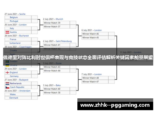 佩德里对阵比利时世俱杯表现与竞技状态全面评估解析关键因素前景展望